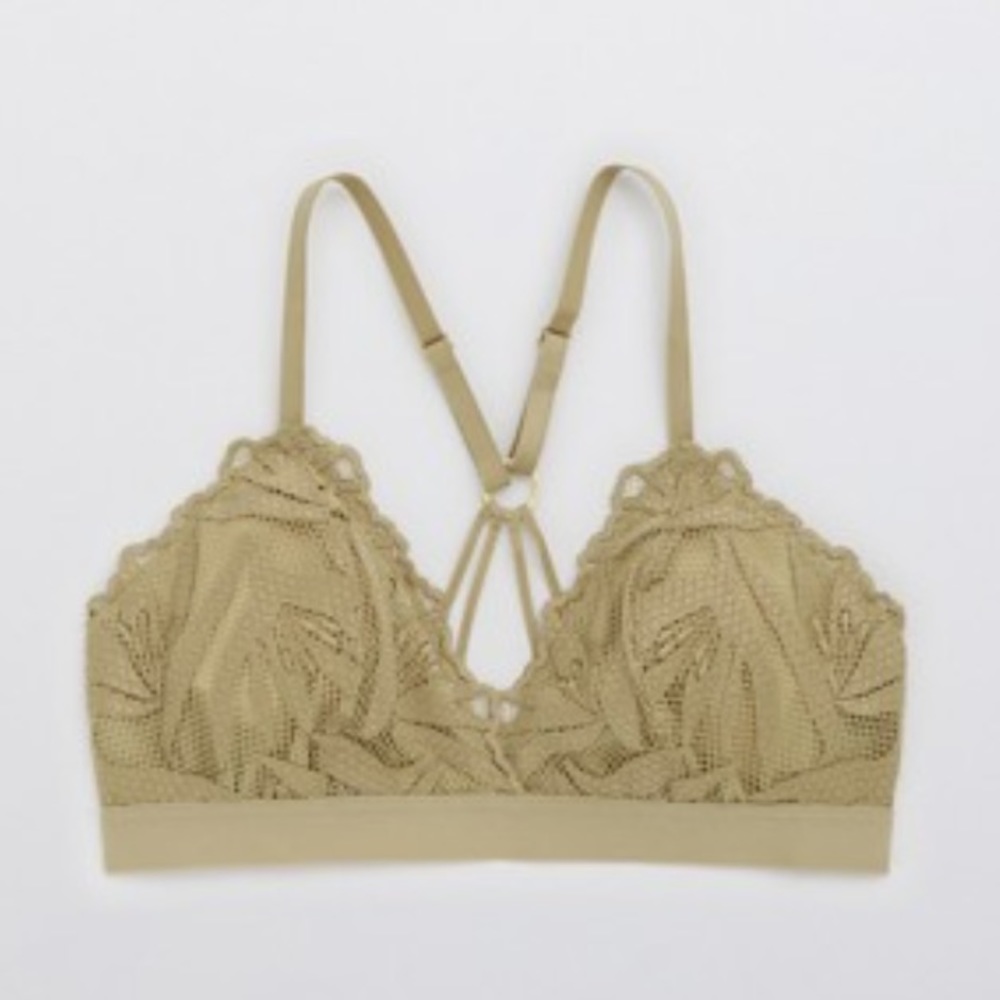 Aerie Paradise Embroidery Lace Triangle Bralette